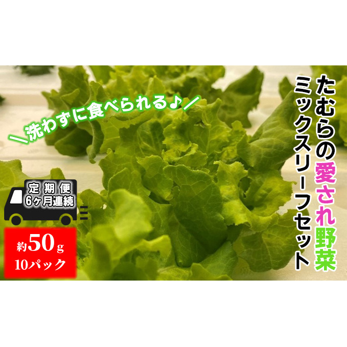 【定期便 6ヶ月連続】洗わずに食べられる!たむらの愛され野菜 ミックスリーフセット 10個 時短 サラダ 栽培期間中無農薬 安心 安全 3種類以上の野菜 ミックス野菜 サラダ野菜 すぐ食べられる 国産 群馬県産