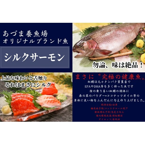 シルクサーモン漬けセット(GUNMA) 魚貝類 鱒 ます