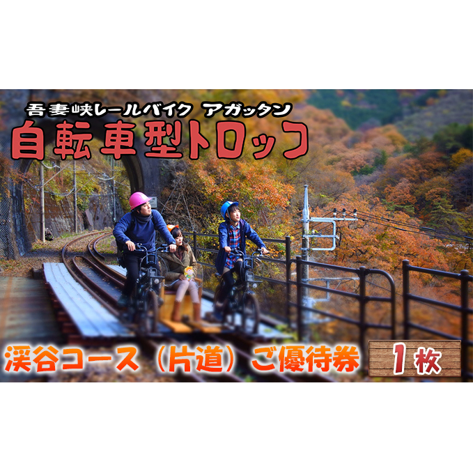 体験　自転車型トロッコ「アガッタン」優待券1枚 体験チケット 観光 