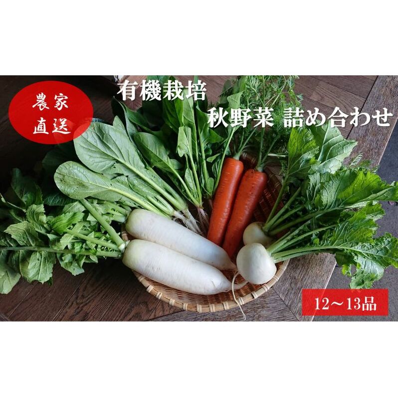 有機栽培 秋野菜 詰め合わせ 群馬県産 東吾妻 有機JAS 認証取得 秋 野菜 やさい 詰合せ 旬 野菜セット 国産 国産野菜 ほうれん草 人参 小松菜 大根 さつまいも 春菊 かぶ