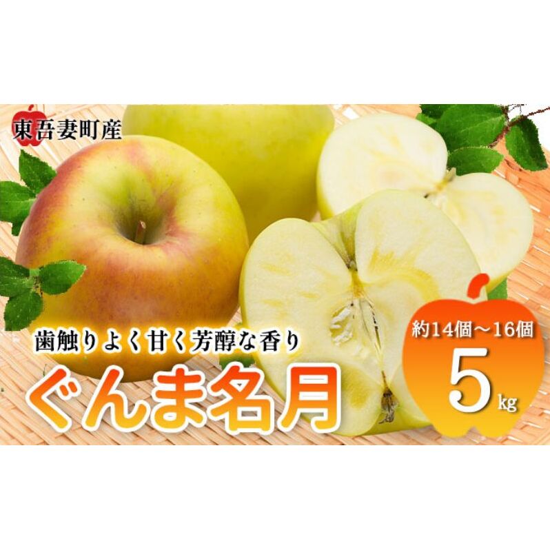 東吾妻町産 りんご ぐんま名月　5kg(14個から16個）リンゴ アップル 果物類 フルーツ 果物 果汁豊富 