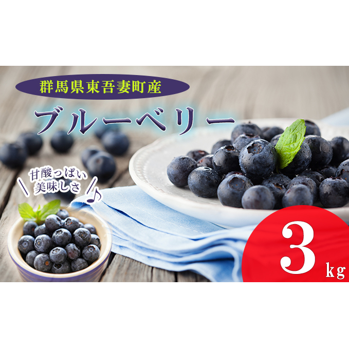東吾妻産 ブルーベリー 生果 3kg 2024年7月上旬～発送予定 フルーツ 果物 生ブルーベリー 国産 完熟ブルーベリー 大粒 そのまま スムージー トッピング 