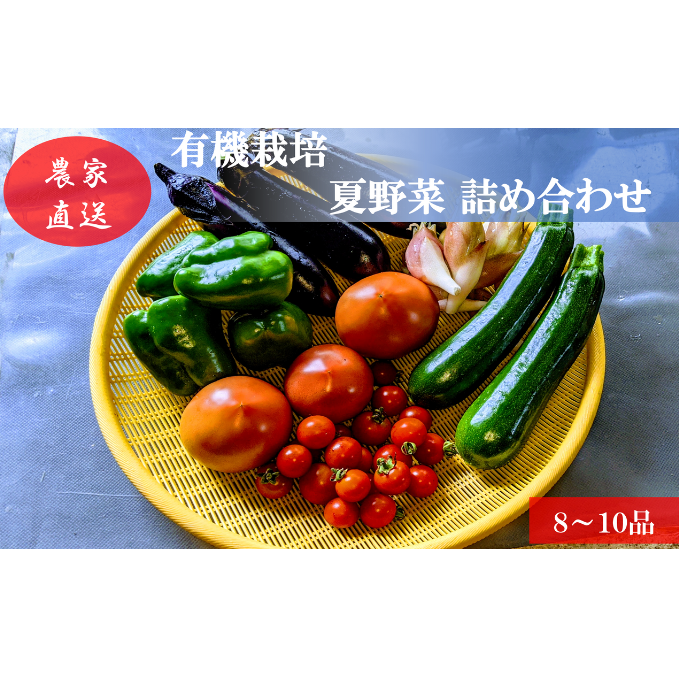有機栽培 夏野菜 8～10品 詰め合わせ 群馬県産 東吾妻 有機JAS 認証取得 野菜セット 旬の野菜 夏野菜セット 食材 国産 お楽しみ 食品セット 食卓 