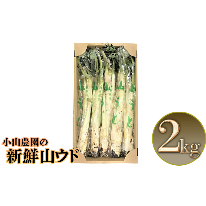 エコファーム小山農園の新鮮山ウド 野菜 山菜 