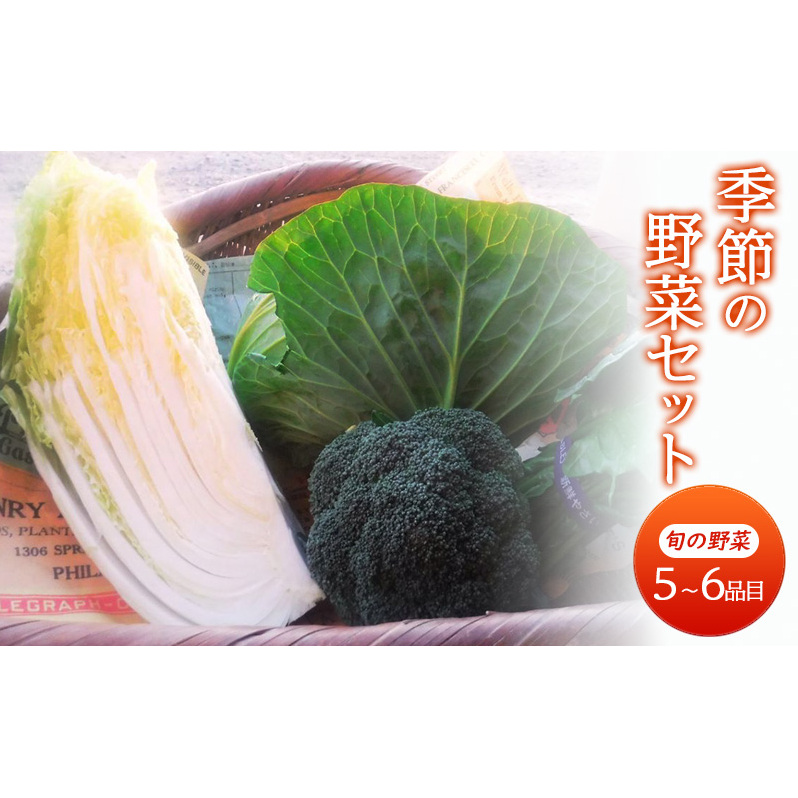 野菜 季節の野菜セット 季節 冬 旬 野菜セット 福岡県 朝倉市