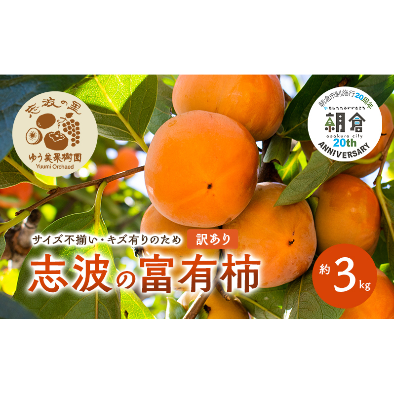 【朝倉市制施行20周年記念企画】  訳あり 志波の富有柿 約3kg 柿 ※配送不可:離島