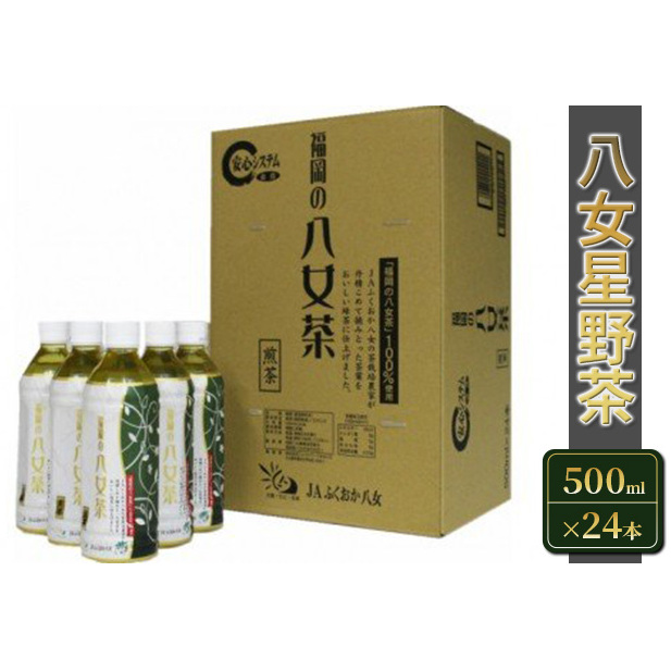 お茶 ペットボトル 煎茶 八女茶 500ml×24本 緑茶