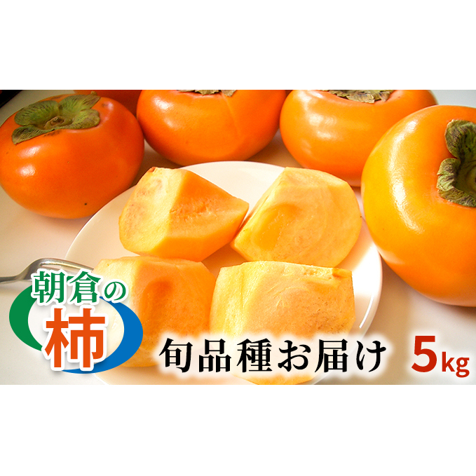 柿 朝倉の柿はじめました。季節の朝倉の柿 約5kg 16-20玉 配送不可 離島 果物 フルーツ 秋の味覚 旬 デザート 果実 おやつ 美味しい品種 厳選 お届け