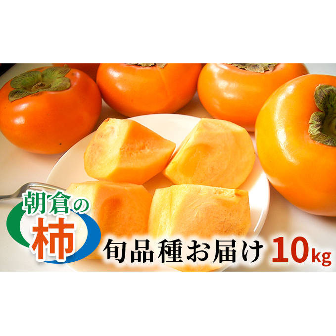 柿 朝倉の柿はじめました。季節の朝倉の柿 約10kg 36-40玉 配送不可 離島 果物 フルーツ 秋の味覚 旬 デザート 果実 おやつ 美味しい品種 厳選 お届け
