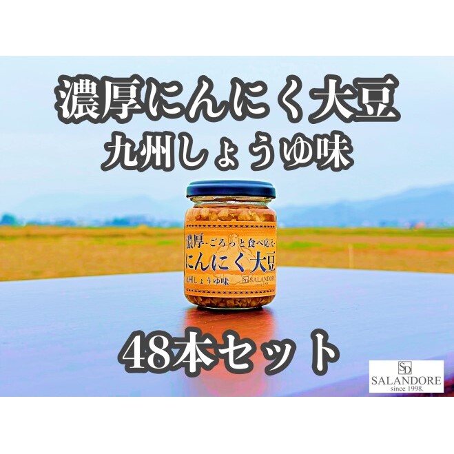 濃厚にんにく大豆_九州しょうゆ味_48本セット 加工食品 豆類 大豆ミート 独自製法 高たんぱく 食物繊維 ミネラル ビタミン オリジナルの味付け プレーン