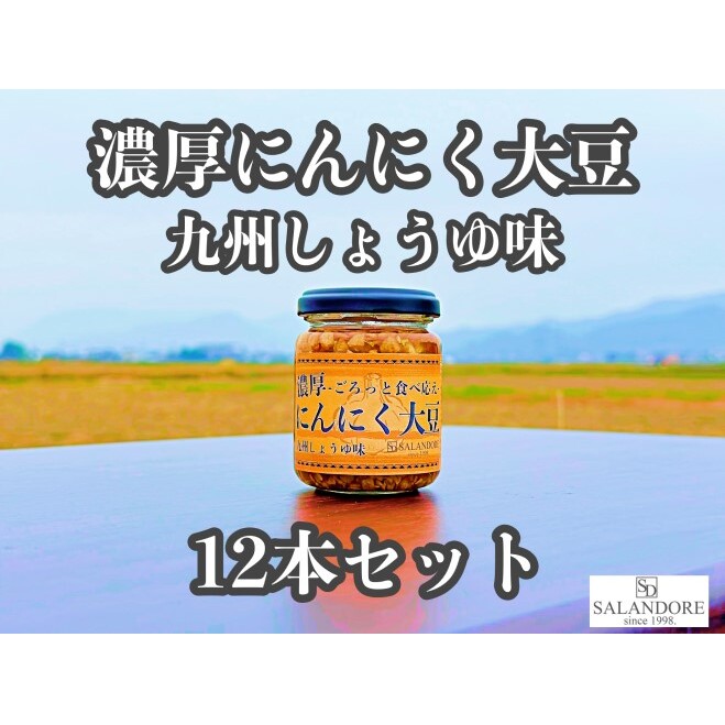 濃厚にんにく大豆_九州しょうゆ味_12本セット 加工食品 豆類 大豆ミート 独自製法 高たんぱく 食物繊維 ミネラル ビタミン オリジナルの味付け プレーン