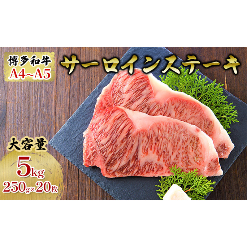 牛肉 サーロインステーキ 合計5kg 博多和牛 A4～A5 セット 250g×20枚 配送不可：離島 