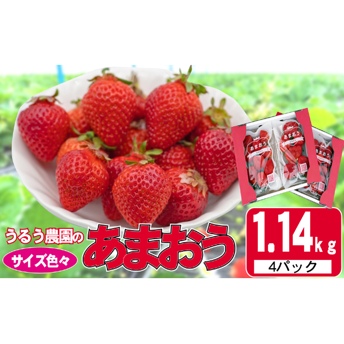 いちご 2025年12月より発送 うるう農園のあまおう サイズ色々4パック 約1.14kg※配送不可:離島 果物 フルーツ デザート 食後 特別栽培 福岡県産 国産 日本産