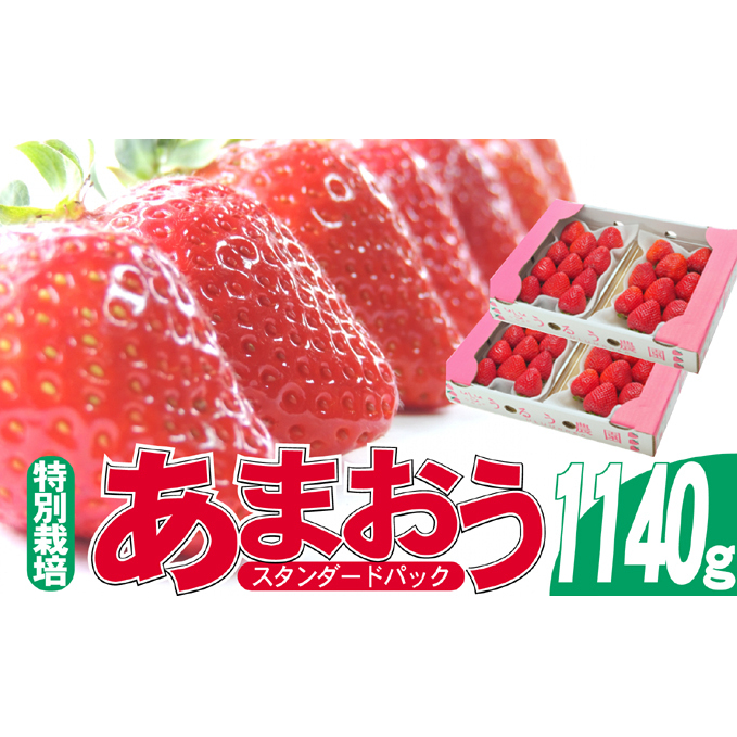 いちご 2025年12月より発送 うるう農園のあまおう スタンダード4パック 約1.14kg※配送不可:離島 果物 フルーツ デザート 食後 特別栽培 福岡県産 国産 日本産