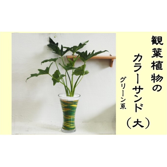 カラーサンド(ガラス花器:大)グリーン系 植物 インテリア 飾り 緑 部屋 玄関 グリーンインテリア アート感覚 寄せ植え 1点もの