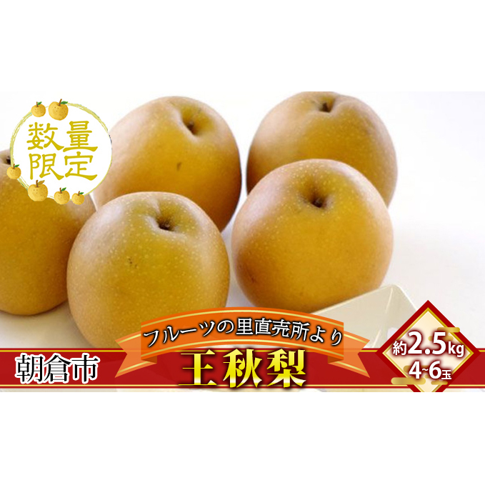 梨 フルーツの里の直売所より 王秋梨 2.5kg 九州の梨 天然の甘み 安心 安全 お歳暮 ギフト