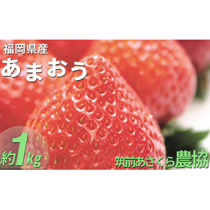 いちご あまおう 福岡県産 約1kg 250g×4パック 筑前あさくら農協 配送不可 離島 果物類 苺 イチゴ 配送期間：2026年1月下旬～3月上旬