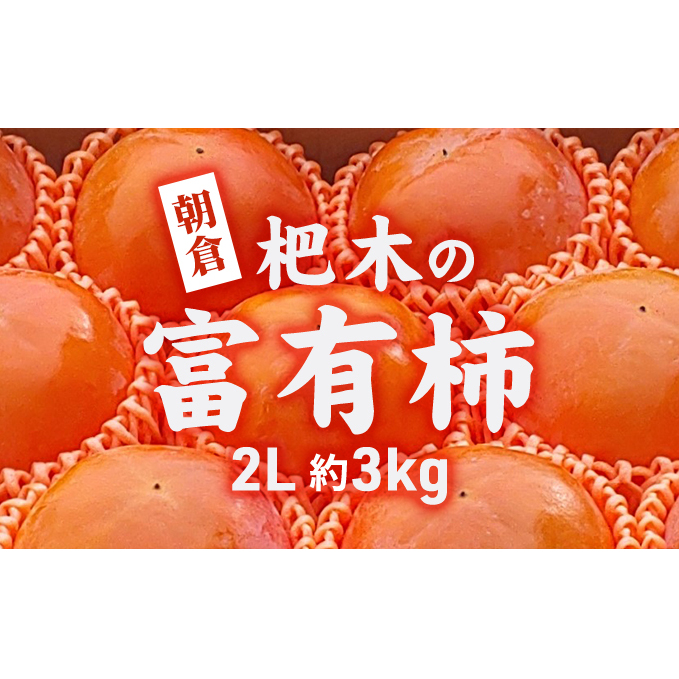 柿 かき 富有柿 3kg 2L サイズ 10~12個入り 朝倉 杷木の富有柿 カキ フルーツ 果物 果物類