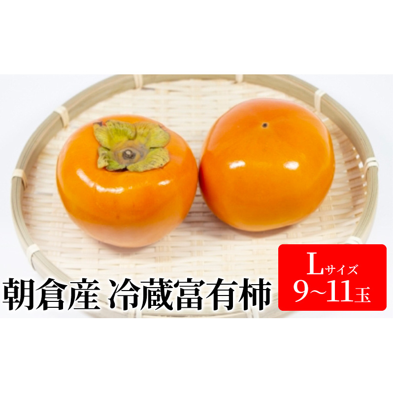 柿 冷蔵 富有柿 Lサイズ  9~11玉入り かき カキ 果物 くだもの フルーツ 配送不可 離島