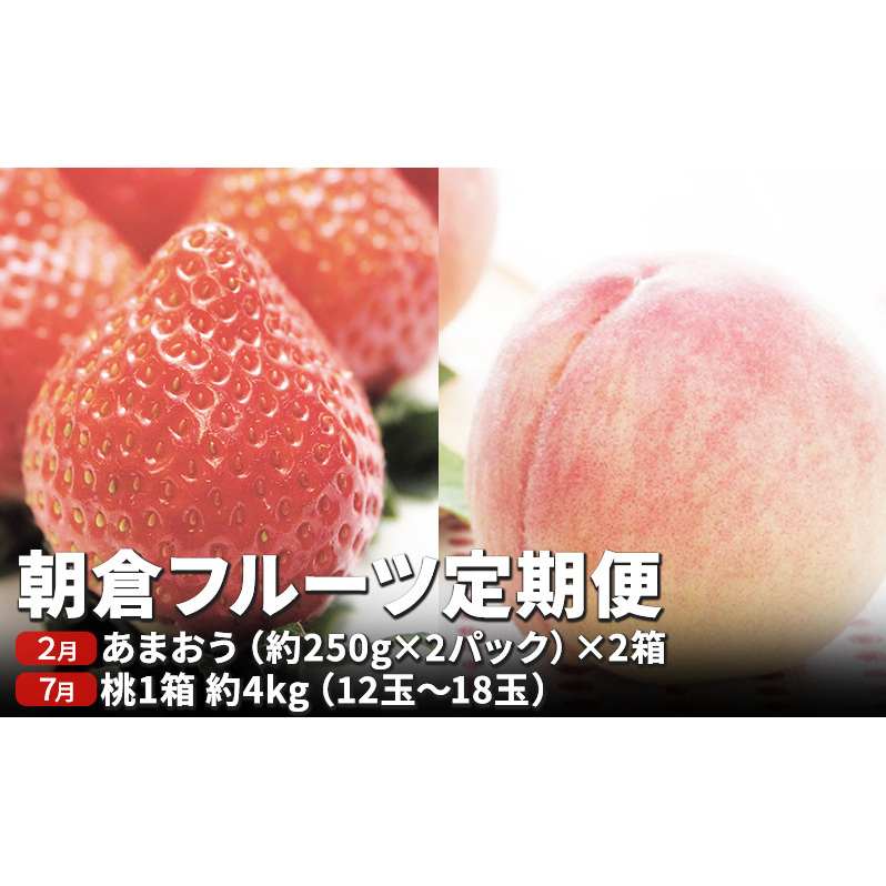 定期便 フルーツ 2回 限定 数量 いちご 約1kg もも 約4kg フルーツ定期便 朝倉 2024年発送 お届け 桃 モモ イチゴ あまおう 果物 くだもの デザート お楽しみ オンライン決済限定 配送不可:離島