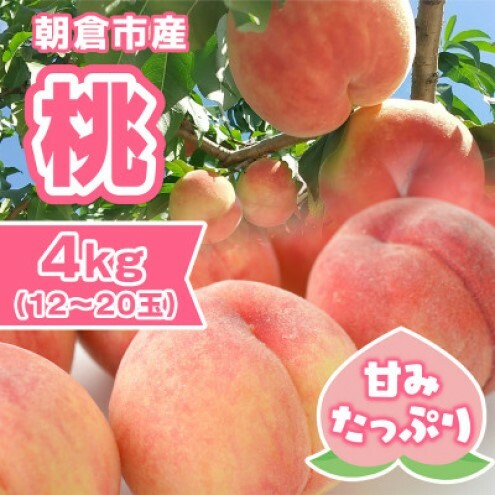 桃 朝倉市産 約4kg 12~20玉 もも モモ 果物 デザート ※配送不可:離島