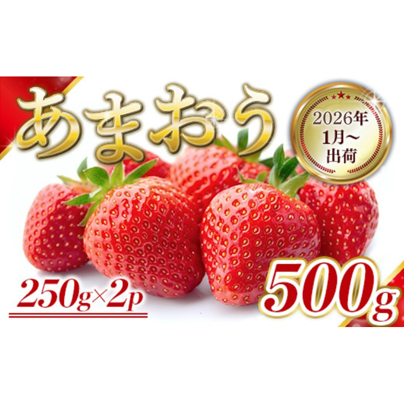 いちご 福岡県産 あまおう 500g (250g×2パック) 先行予約 2026年1月より順次発送 果物 デザート ※配送不可:離島