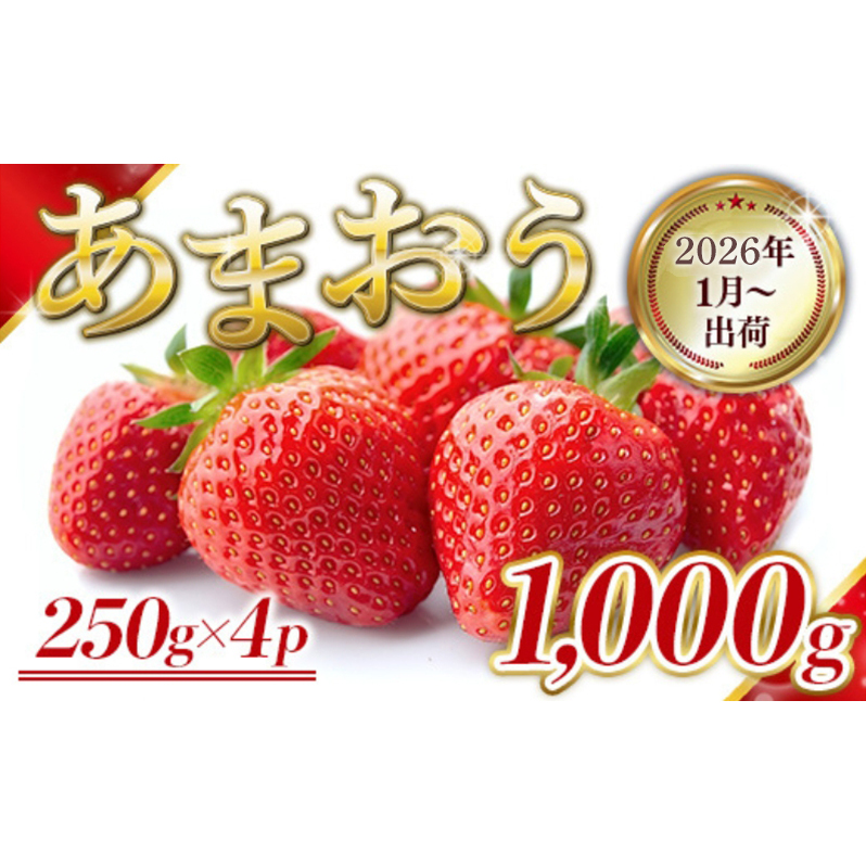 いちご 福岡県産 あまおう 1000g (250g×4パック) 先行予約 2026年1月より順次発送 果物 デザート ※配送不可:離島