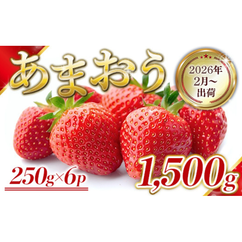 いちご 福岡県産 あまおう 1500g (250g×6パック) 先行予約 2026年2月より順次発送 果物 デザート ※配送不可:離島