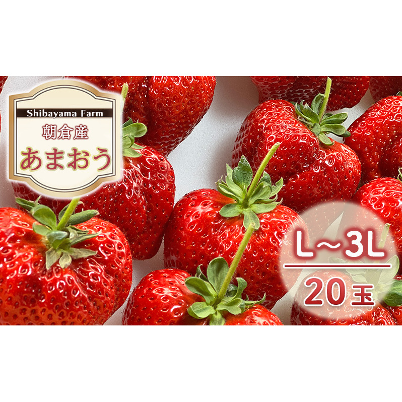 いちご 朝倉市産 あまおう L~3L 20玉 イチゴ 苺 果物 デザート <Shibayama Farm> ※配送不可:離島