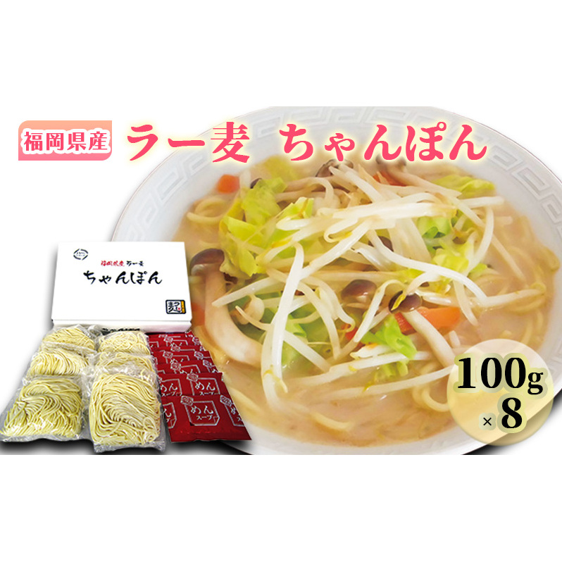 ちゃんぽん 福岡県産 ラー麦ちゃんぽん 1ケース 麺
