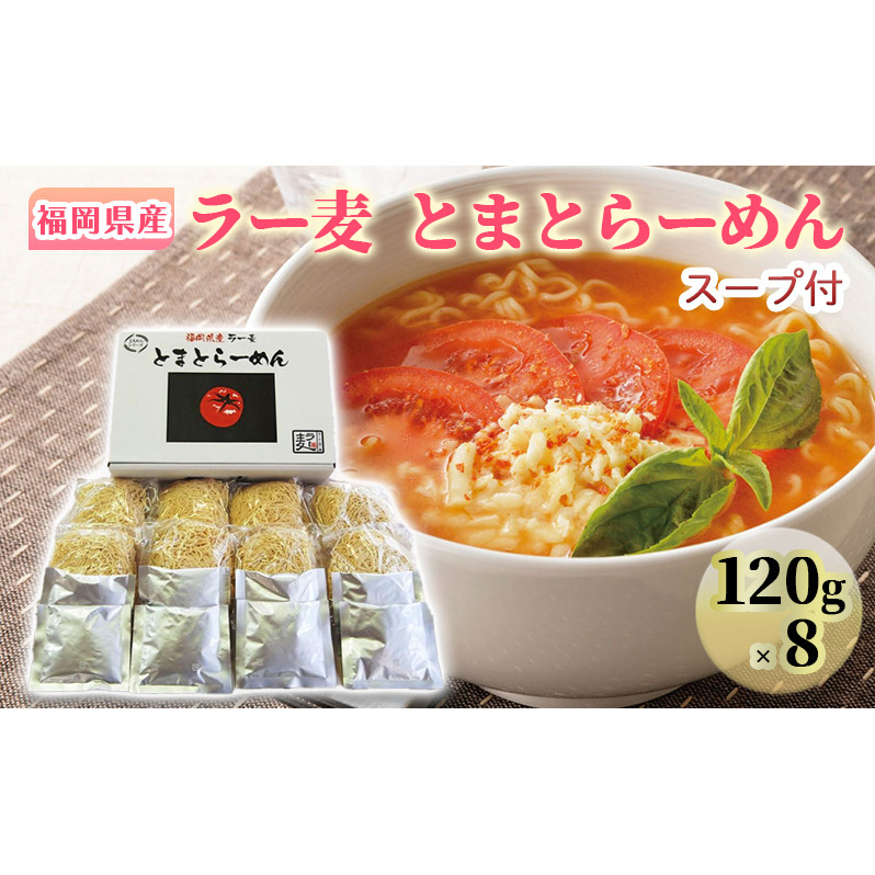 ラーメン 福岡県産 ラー麦 とまとらーめん 1ケース 麺