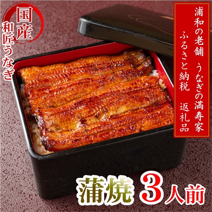 【満寿家】国産うなぎ蒲焼　3人前　【11100-0142】