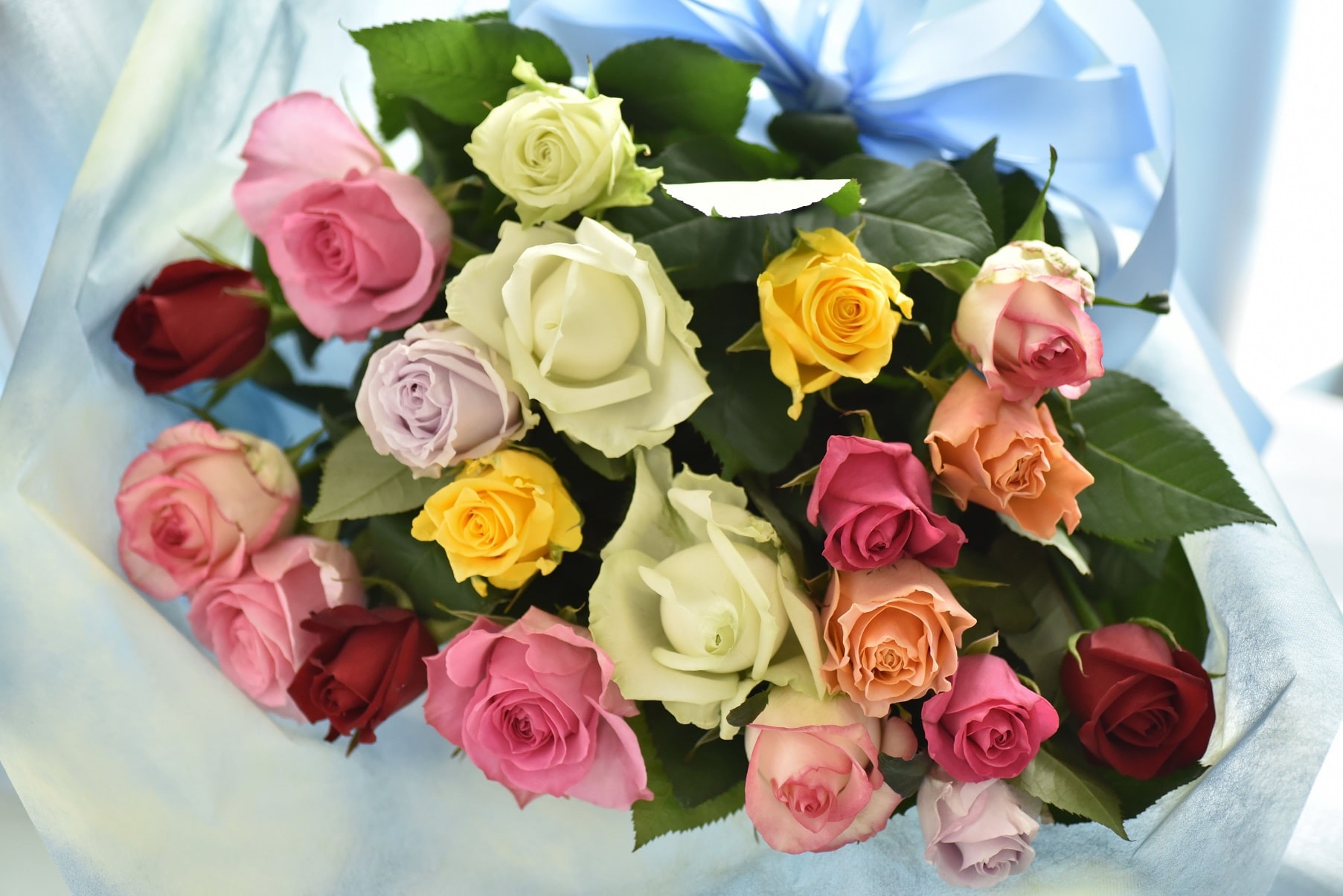 バラの花束(50cm・おまかせMIX20本)【11100-0177】