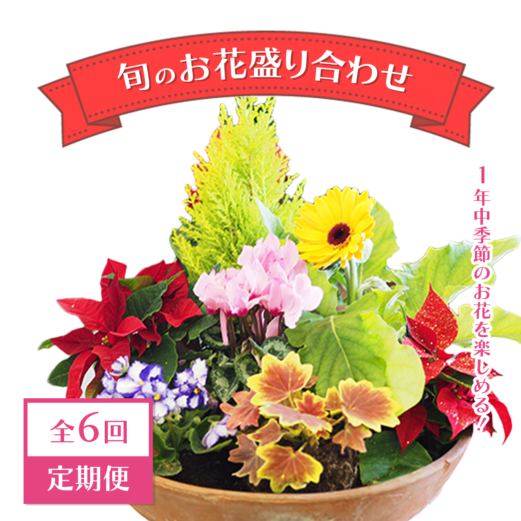 【全6回定期便】1年中季節のお花が楽しめる!旬のお花盛り合わせ(2か月に1回お届け) 【11100-0735】