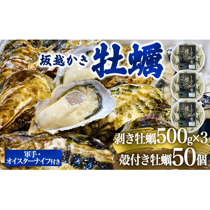 牡蠣 坂越かき 剥き牡蠣 500g×3、殻付き牡蠣 50個 軍手・オイスターナイフ付き[ 生牡蠣 かき カキ 生食 冬牡蠣 ]の返礼品詳細 |  JR東日本が運営【JRE MALLふるさと納税】