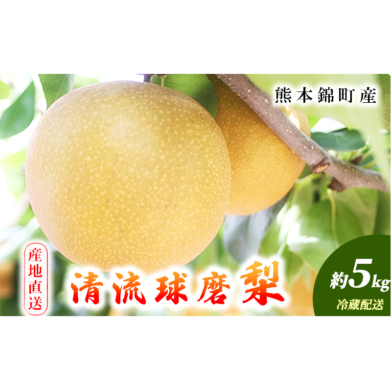 梨 旬 5kg 先行予約 2025年発送 平野果樹園 錦の梨 なし フルーツ 果物 デザート 配送不可:離島 