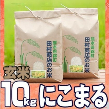 米 10kg 令和5年 にこまる 5kg×2 玄米 こめ