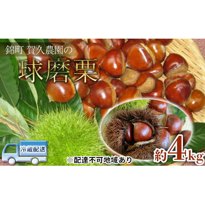 栗 草生栽培で育てた賀久農園の球磨栗 約4kg 2025年発送 配送不可 離島 果物類 くり 