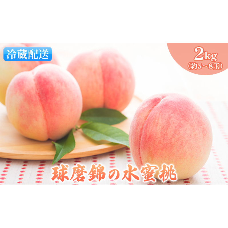 桃 白桃 先行予約 錦の水蜜桃 2kg 約5玉～8玉 もも モモ フルーツ 果物 デザート2025年発送 配送不可:離島 