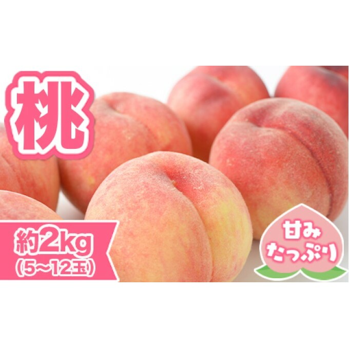 桃 先行予約 錦町産 約2kg 5玉～12玉 6月より順次出荷 もも モモ フルーツ 果物 デザート 配送不可：離島  