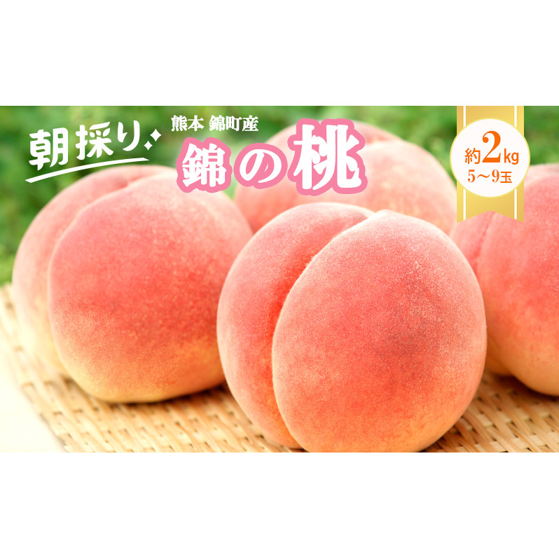 桃 白桃 先行予約 錦の桃 2kg 約5玉～9玉 もも モモ フルーツ 果物 デザート 2025年発送 鎌木果樹園 配送不可:離島 