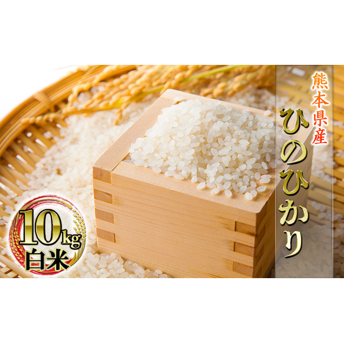 熊本県 錦町産 ひのひかり 10kg(白米) お米 ライス ご飯 ブランド米 銘柄米 お弁当 おにぎり 熊本県産 食卓 産地直送 主食 粘り気 香り 弾力 あっさり 食べごたえ