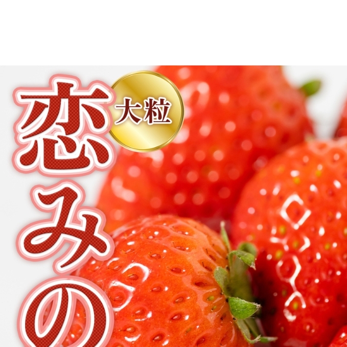 いちご 先行予約 約250g×4P 3Lサイズ 錦町産 恋みのり 苺 イチゴ  デザート フルーツ 2025年1月上旬より順次発送 配送不可:離島 果物類 
