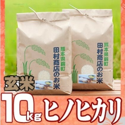米 10kg 令和5年 ヒノヒカリ 5kg×2 玄米 こめ