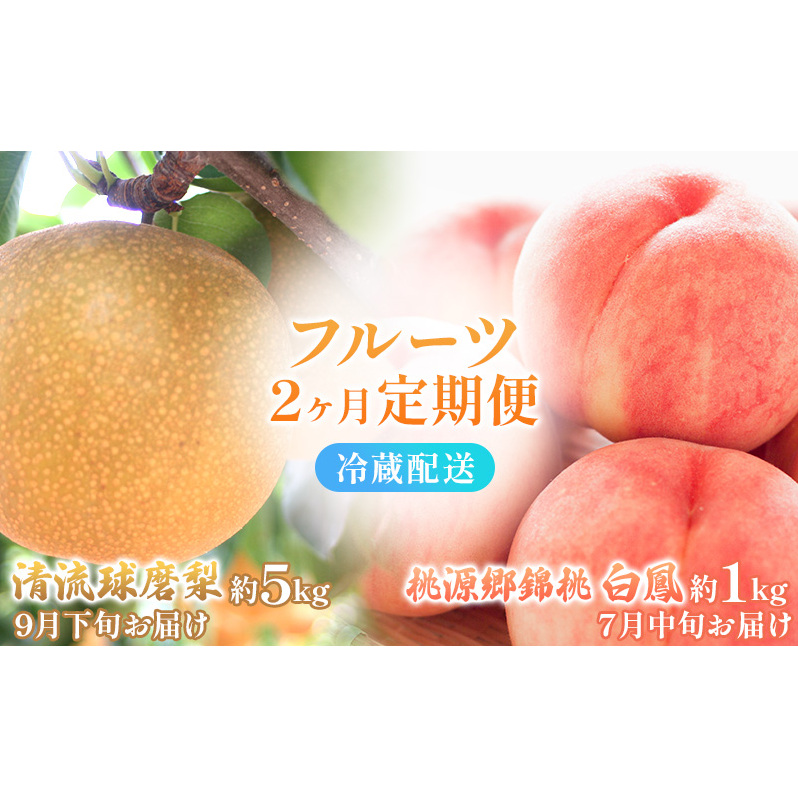 定期便 2回 先行予約 【 桃 白桃 7月頃 梨 9月頃 】白鳳 特製桃源郷錦 約1kg、清流錦梨 約5kg もも モモ なし フルーツ 果物 デザート お楽しみ 2025年発送 配送不可:離島 