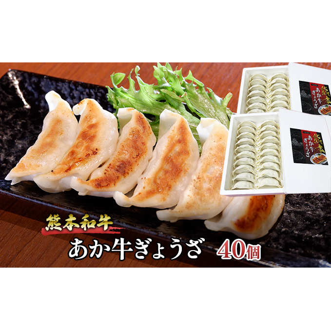 ぎょうざ 熊本 あか牛 餃子 セット 計40個(20個入り×2箱)和牛 肉 お肉 牛肉 加工品 ギョウザ 赤牛 配送不可:離島 熊本県産野菜使用 濃厚な肉汁 おかず つまみ ビールのお供 中華