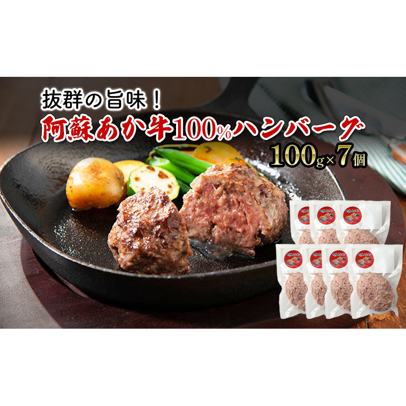 ハンバーグ 阿蘇 あか牛 100% 100g×7個 肉 牛肉 お肉 にく 配送不可:離島