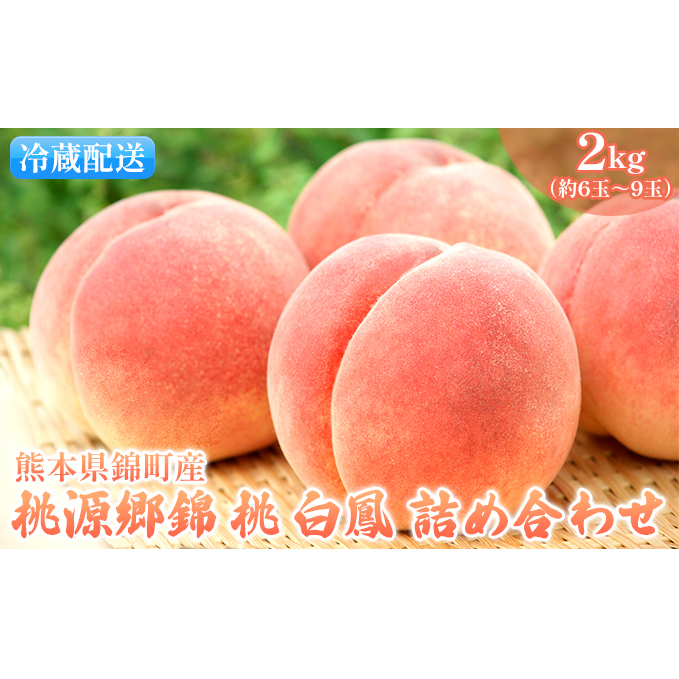 桃 白桃 白鳳 2kg 特製 桃源郷錦 もも モモ フルーツ 果物 デザート 配送不可:離島 