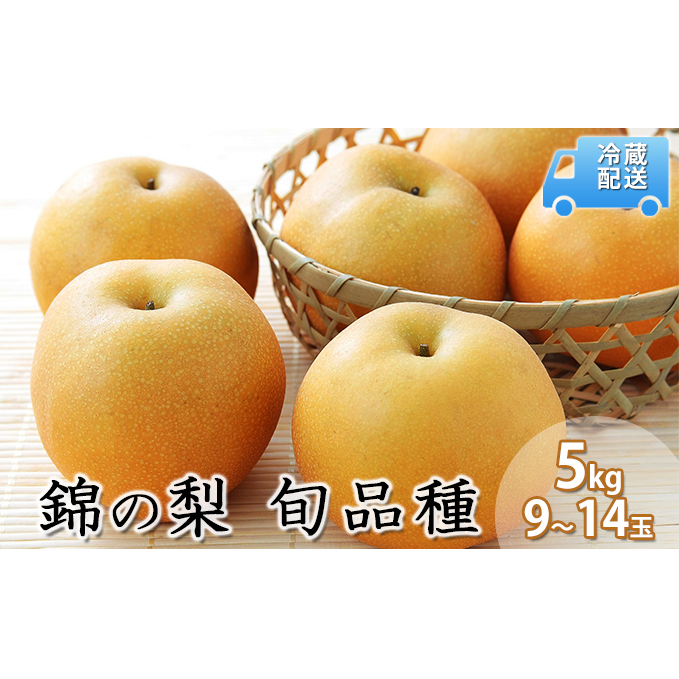 梨 5kg 先行予約 錦の梨 約9玉～14玉 フルーツ なし ナシ 果物 デザート 2025年発送 古里農園 配送不可:離島 