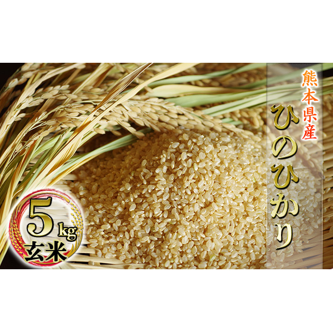 熊本県 錦町産 ひのひかり 5kg(玄米) お米 ライス ご飯 ブランド米 銘柄米 お弁当 おにぎり 熊本県産 食卓 産地直送 主食 粘り気 香り 弾力 あっさり 食べごたえ